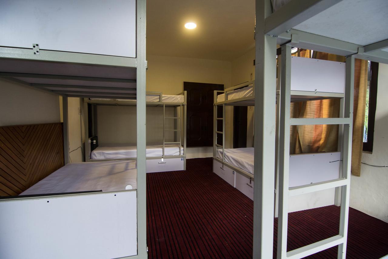 Backpacker Panda Manali Hostel Εξωτερικό φωτογραφία